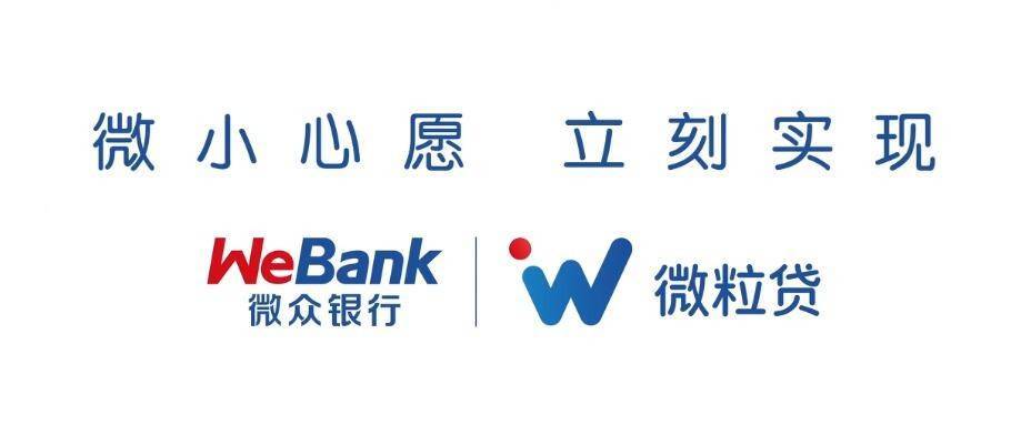 小额贷款产品微粒贷<strong></p>
<p>个人小额</strong>，更适合应急的个人消费贷款