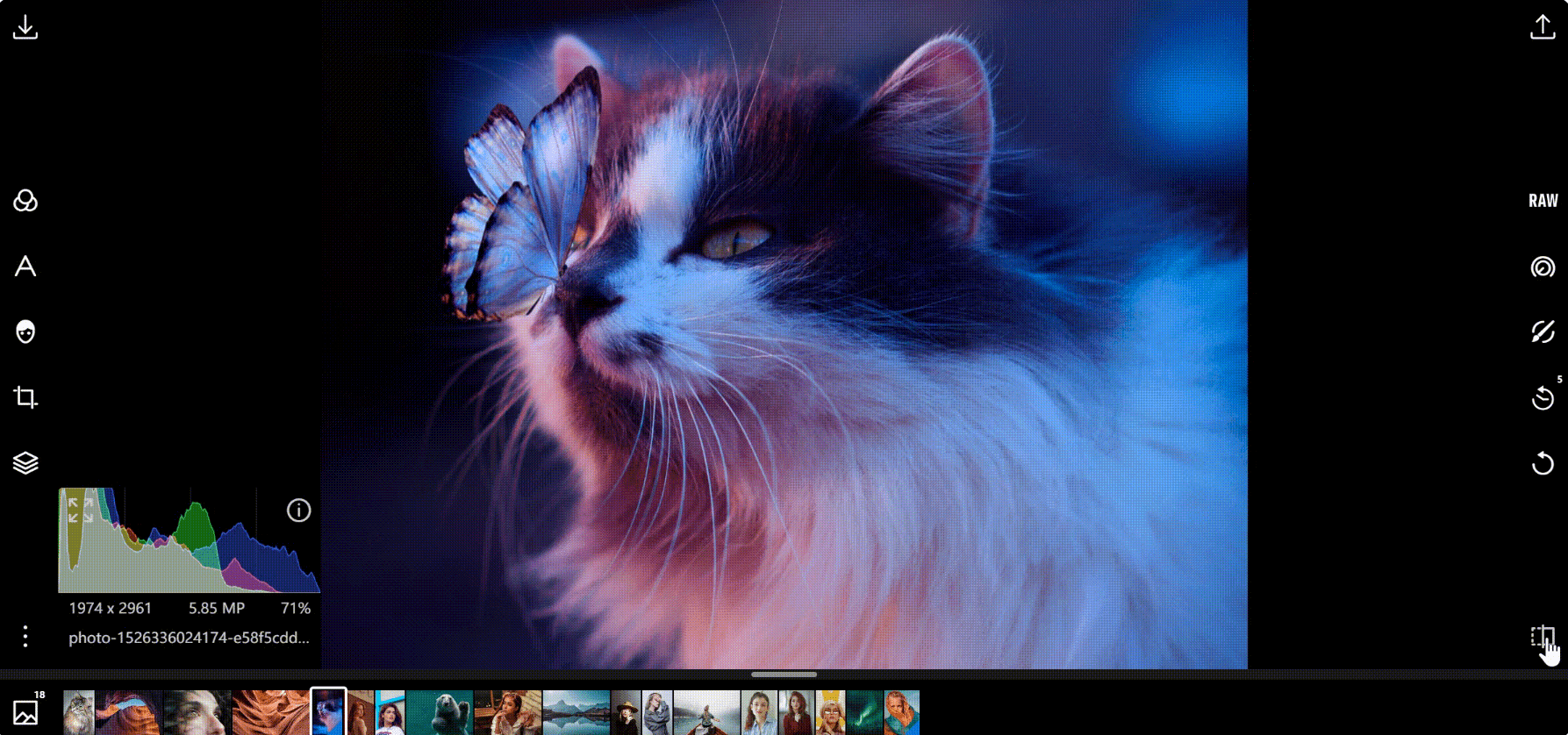 泼辣修图Polarr Pro5.11最新桌面版、手机版下载