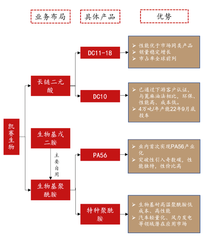 凯赛生物2022年营收24亿元同比微增3%<strong></p>
<p>西部证券官网</strong>，利润下滑7%不及预期