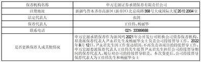 申万宏源证券承销保荐有限责任公司 关于新凤鸣集团股份有限公司2021年公开发行可转债之保荐工作总结报告书