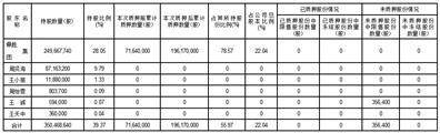 证券代码：603876 证券简称：鼎胜新材 公告编号：2024-072 债券代码：113534 债券简称：鼎胜转债