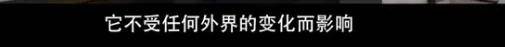 他们那么幸福恩爱<strong></p>
<p>民生证券官网</strong>，怎么突然离婚了……