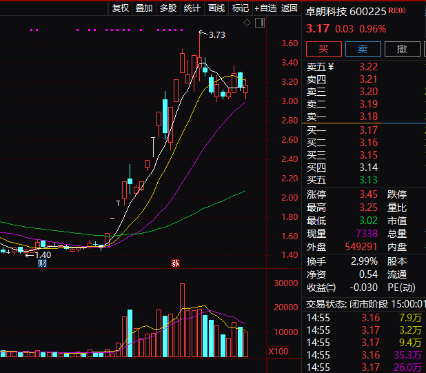 连续5年造假！这只A股<strong></p>
<p>东北证券官网</strong>，面临强制退市！