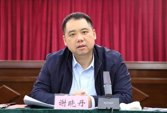 80后谢晓丹<strong></p>
<p>新证券法</strong>，任县委书记（附简历）