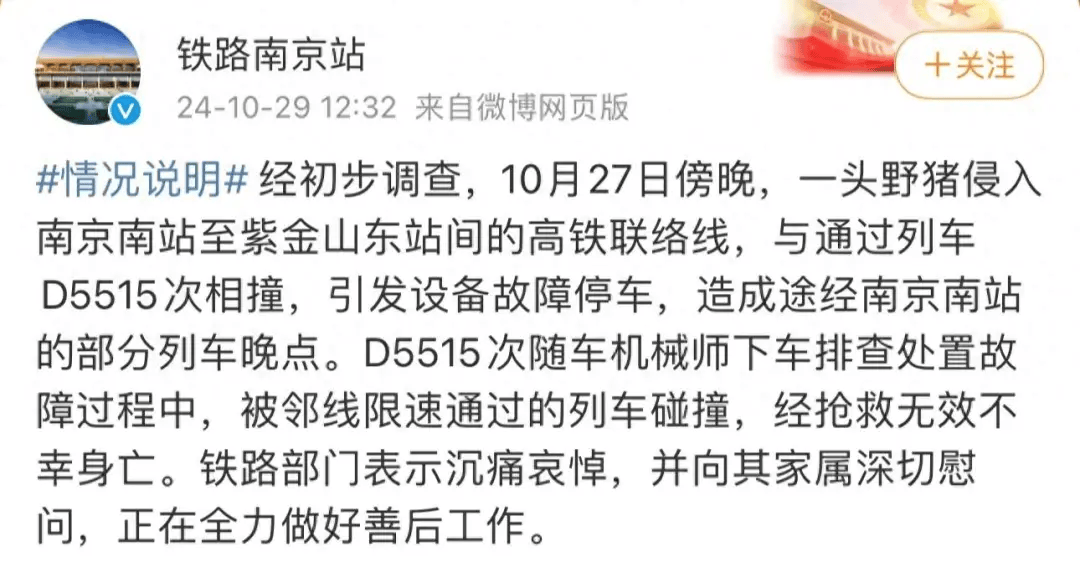 街头横冲直闯<strong></p>
<p>新证券法</strong>，抱娃女子被撞伤，警方：已被特警击毙