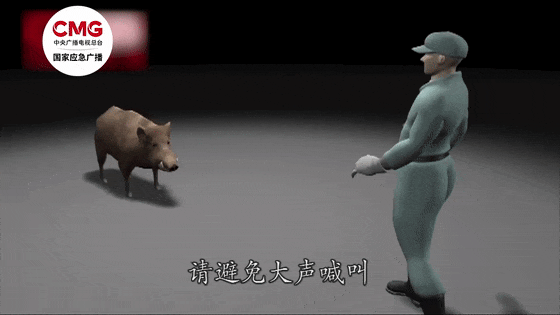 街头横冲直闯<strong></p>
<p>新证券法</strong>，抱娃女子被撞伤，警方：已被特警击毙