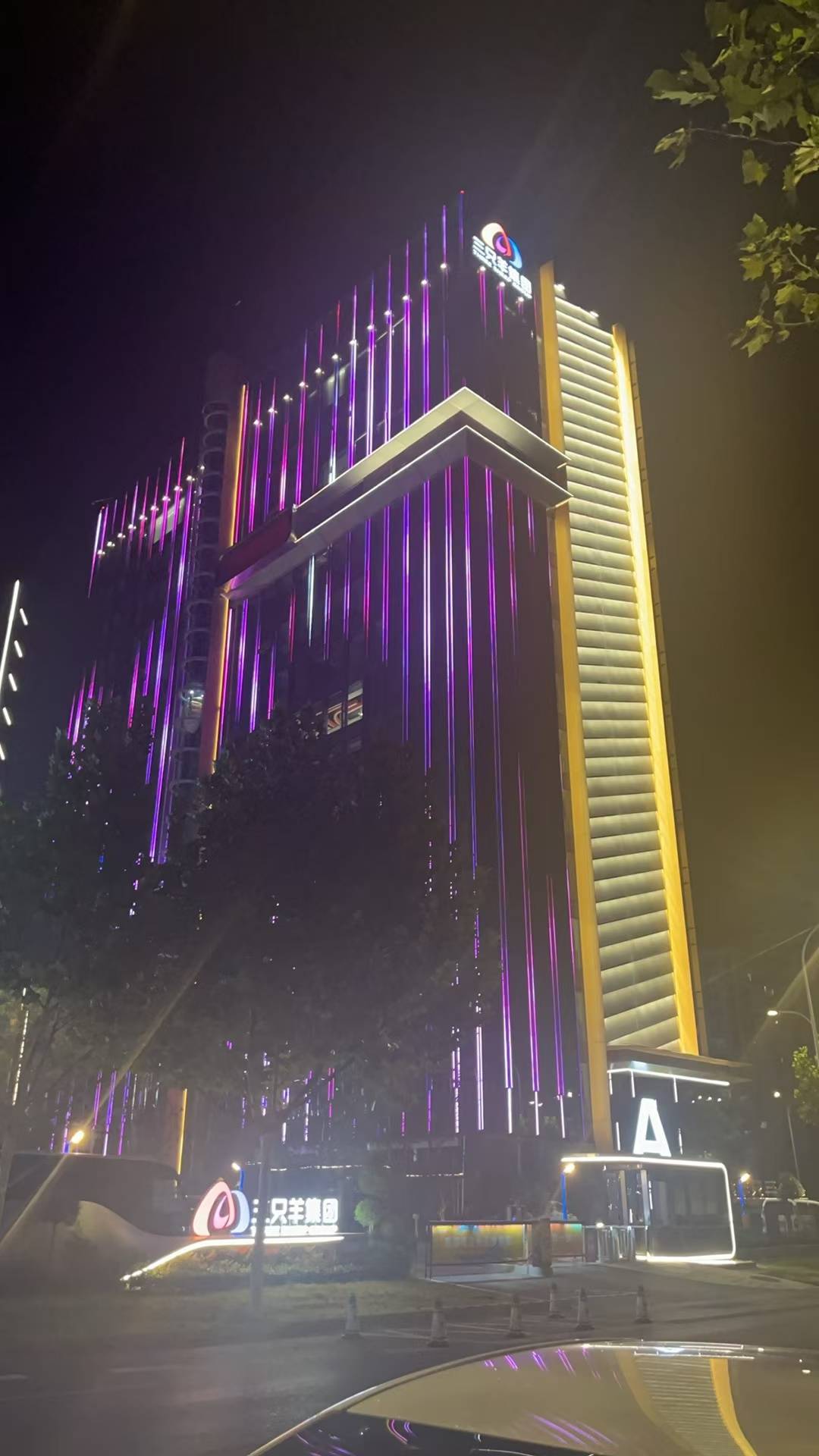 实探三只羊总部：深夜灯火通明<strong></p>
<p>上海证券公司</strong>，门口有主播靠直播园区日常涨粉数十万