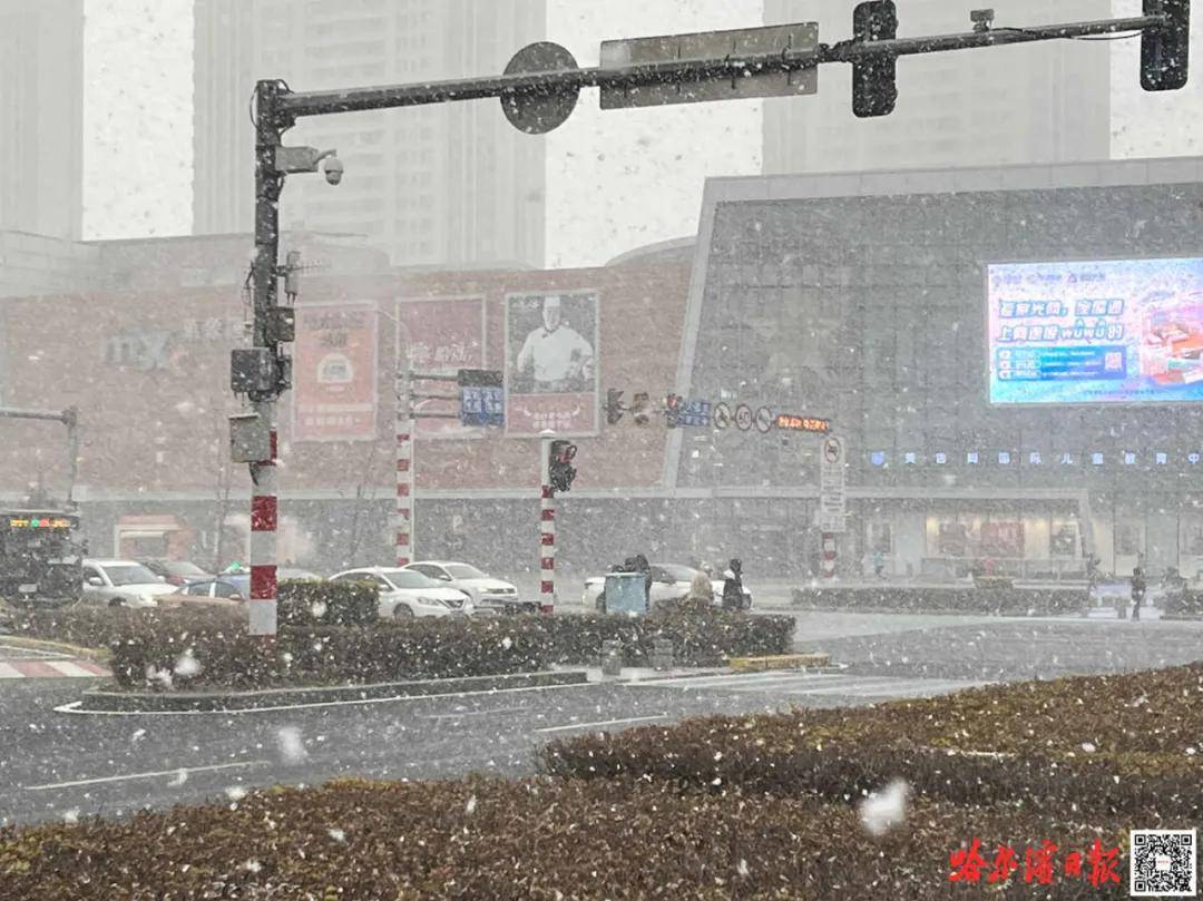 雪来了！哈尔滨发出第一张“请柬”<strong></p>
<p>公开发行证券</strong>，我们的约会又要开始了……