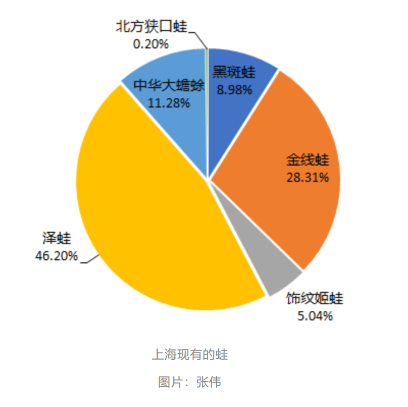 曾经遍地的“田鸡”十几年看不到一只<strong></p>
<p>光大证券金阳光</strong>，国家二级保护动物正拼命回归