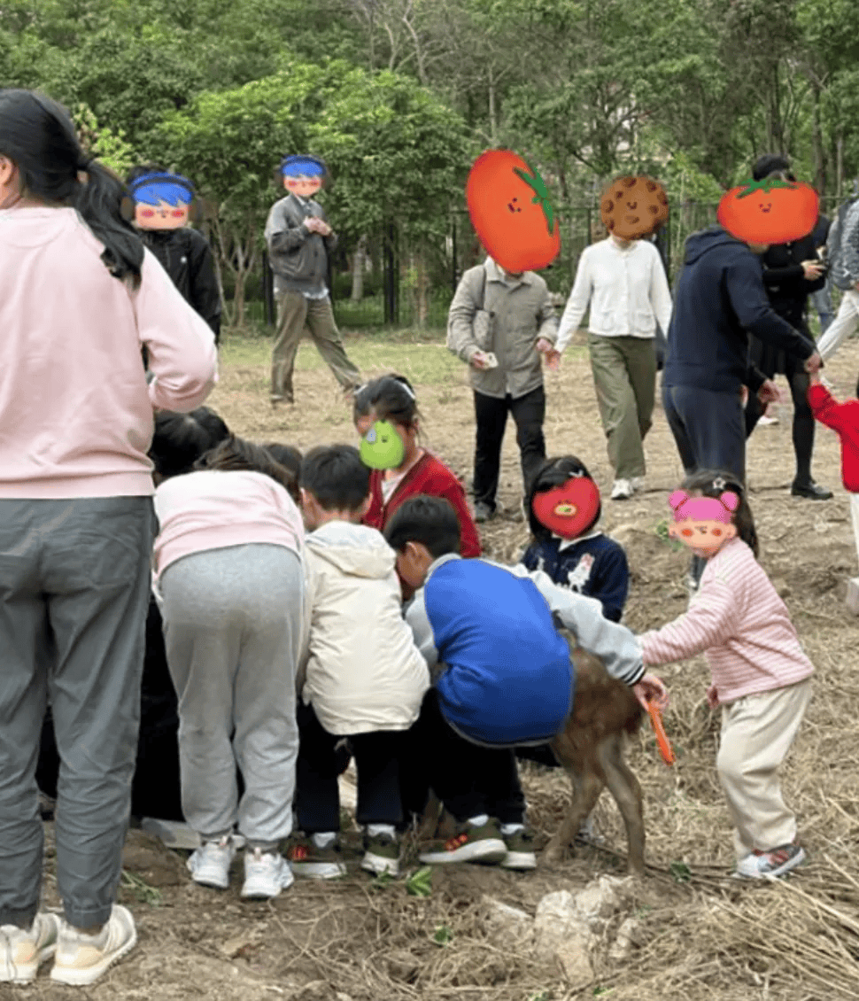 突发公告！上海交大紧急叫停<strong></p>
<p>光大证券金阳光</strong>，数百人来围观，工作人员无奈：劝都劝不住