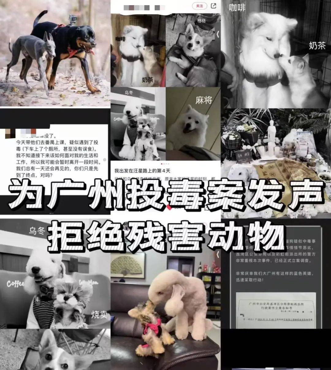 “死亡数据仍在上升”<strong></p>
<p>证券交易印花税</strong>！广州警方介入