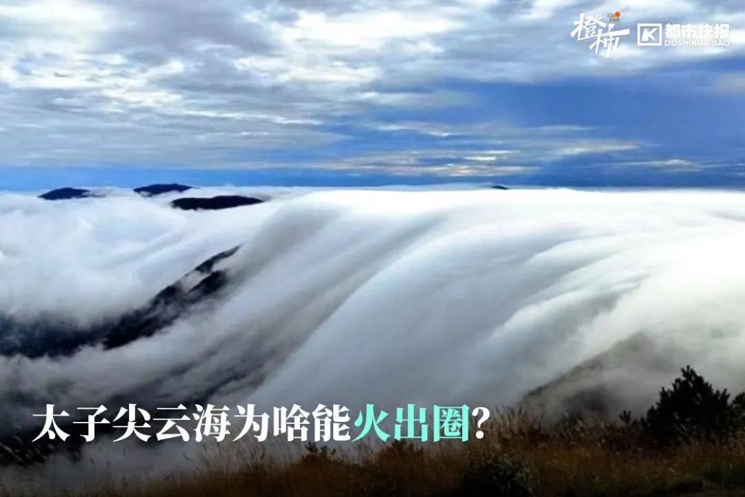 “来都来了<strong></p>
<p>中国证券基金业协会</strong>，那就查一个吧”，浙江男子意外查出癌