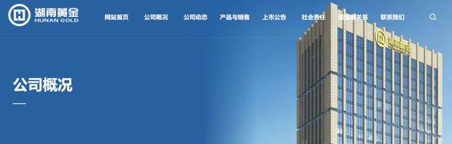 超40条金矿脉被发现<strong></p>
<p>中国证券基金业协会</strong>，估值6000亿！金价四连涨，网友：连夜回老家……