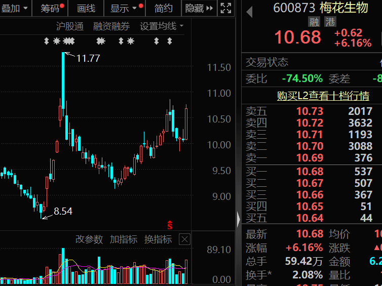 300378<strong></p>
<p>腾讯证券</strong>，AI收入暴增超102%！机构密集关注