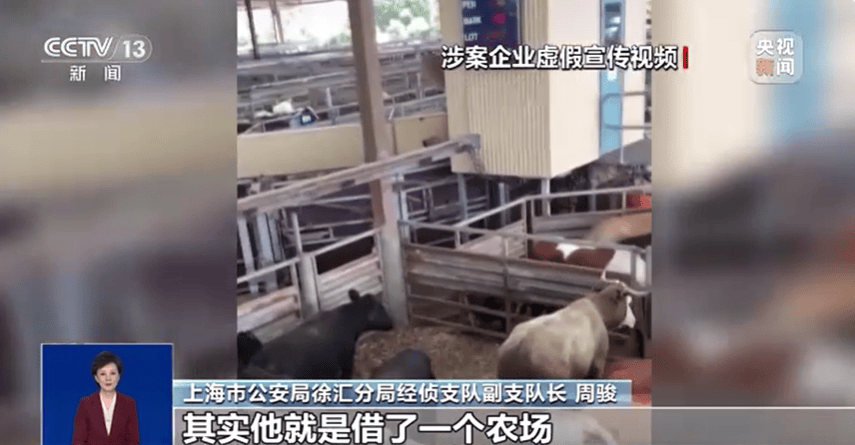 300万元变6万斤牛肉<strong></p>
<p>腾讯证券</strong>，吃不到也卖不了，什么情况？
