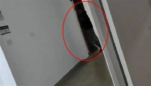 上海一高校男生晚上撞开女生寝室门<strong></p>
<p>证券投资分析</strong>，校方：醉酒后走错了