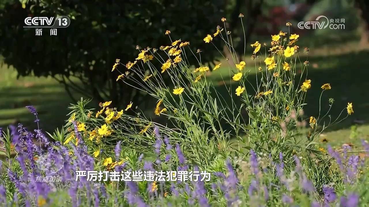 租号、买号、代练……谁在帮孩子们绕过“防沉迷”<strong></p>
<p>安信证券股份有限公司</strong>？