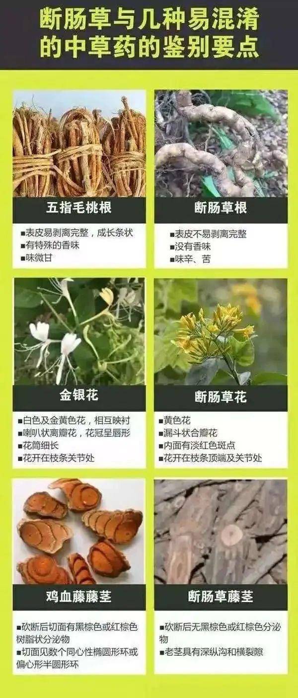 广东一老人买药材煲汤中毒身亡 当地：店铺误售断肠草<strong></p>
<p>证券交易手续费</strong>，老板被拘留