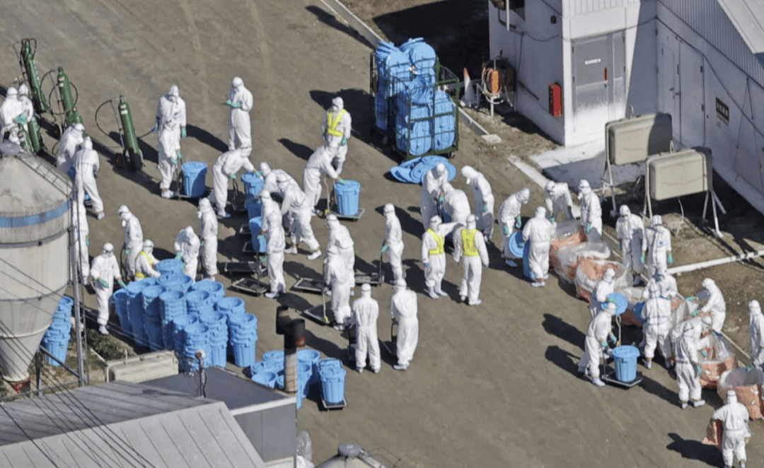 大S真实死因有变<strong></p>
<p>国信证券金太阳</strong>？为何没住院？相关人士：日本大医院并非患者想去就去
