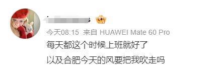 “合肥好大的风<strong></p>
<p>上海证券交易所网站</strong>！” 安徽经历今冬罕见“冰日”