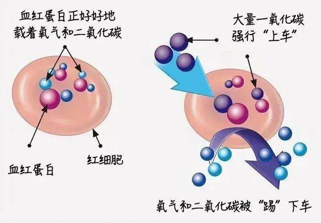 一家5口全部遇难！无色无味<strong></p>
<p>金融证券</strong>，家里有它速自查