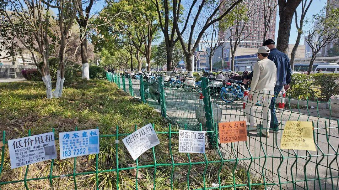 一二线城市房租普降<strong></p>
<p>币安交易所</strong>，房东主动降200留我
