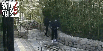 太猖狂！事发上海迪士尼<strong></p>
<p>币安交易所</strong>，7人被刑拘