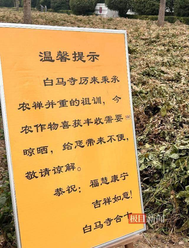 印乐方丈管理下的白马寺：僧人顶着高温种地<strong></p>
<p>DOT交易app</strong>，义工称寺里秉承农禅并重