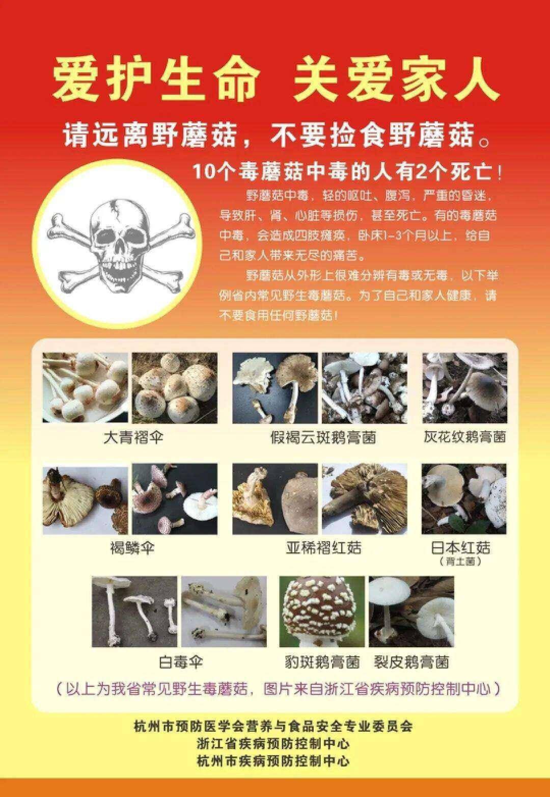 云南姑娘今年在杭州采了200斤鸡枞菌<strong></p>
<p>波卡币交易app</strong>！专家提醒