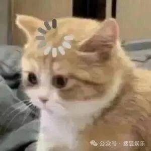 离婚三年又被拍到亲密逛超市<strong></p>
<p>币安币交易app</strong>，他俩这是纯带娃还是真复合了？