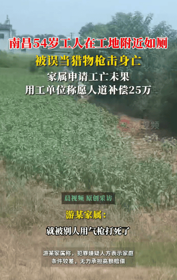54岁农民工在工地附近如厕被气枪击杀<strong></p>
<p>ADA交易app</strong>，肇事者自首，用工单位愿补偿25万，家属发声