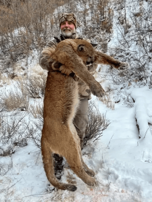 美国百万富翁在南非参加高端付费狩猎活动<strong></p>
<p>ADA交易app</strong>，被水牛顶死