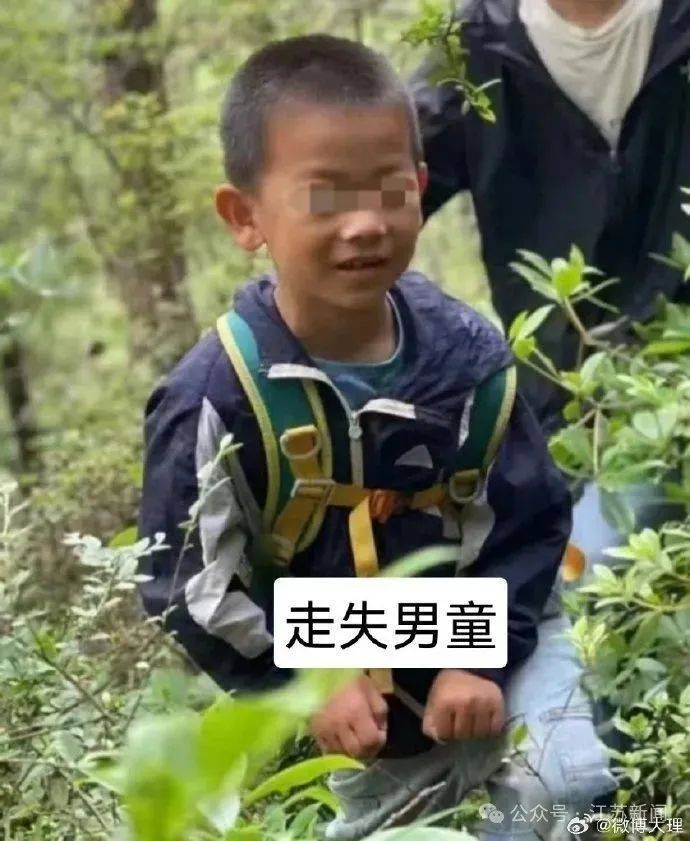 自闭症男孩参加夏令营失联<strong></p>
<p>艾达币交易app</strong>，大理官方再发通告！业内人士：正规机构会放定位器