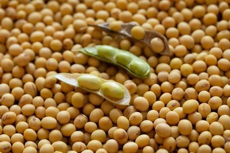 关税停战日剩1天<strong></p>
<p>BCH交易app</strong>，特朗普没直接掀桌子，而是逼中方“给钱”，英伟达也被收割，最终的输家已定