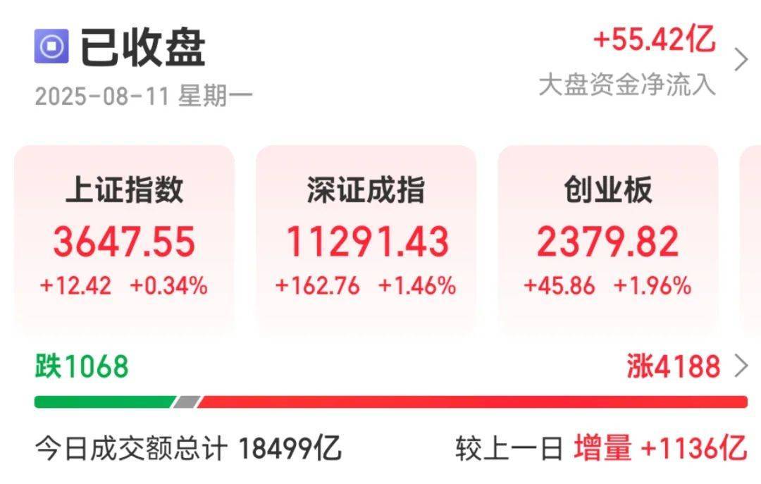 300059<strong></p>
<p>BCH交易app</strong>，全市场第一！成交超百亿