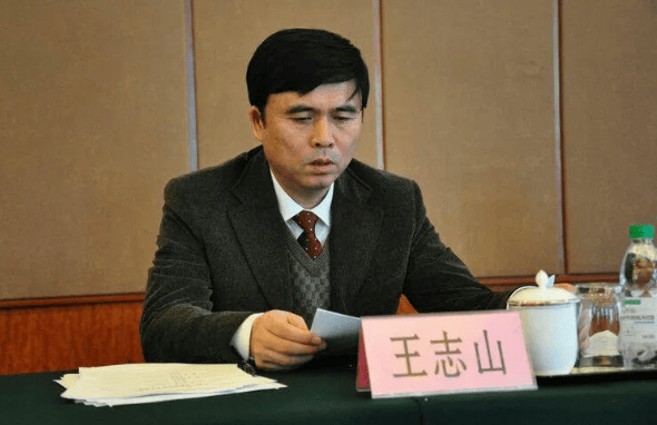 中央巡视期间<strong></p>
<p>BCH交易app</strong>，王志山主动投案