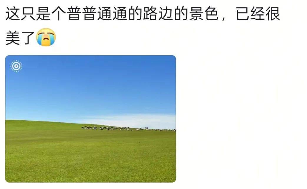新疆男子在外工作偶然回家<strong></p>
<p>LTC交易app</strong>，父亲骑马飞奔迎接，感人一幕被拍下：爸爸快马加鞭从羊群赶回来