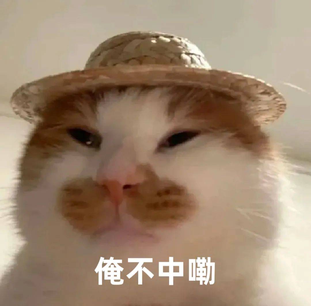 小布说天气 | 今年三伏为史上第二热<strong></p>
<p>比特币交易app</strong>，究竟还要热多久啊？