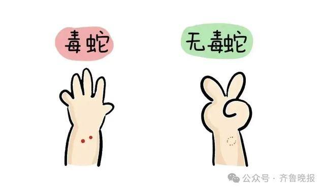 安徽宣城一男子走路玩手机<strong></p>
<p>区块链挖矿交易app</strong>，一脚踩中打架的竹叶青和五步蛇，被俩毒蛇咬3口！医院：暂无生命危险，正在治疗