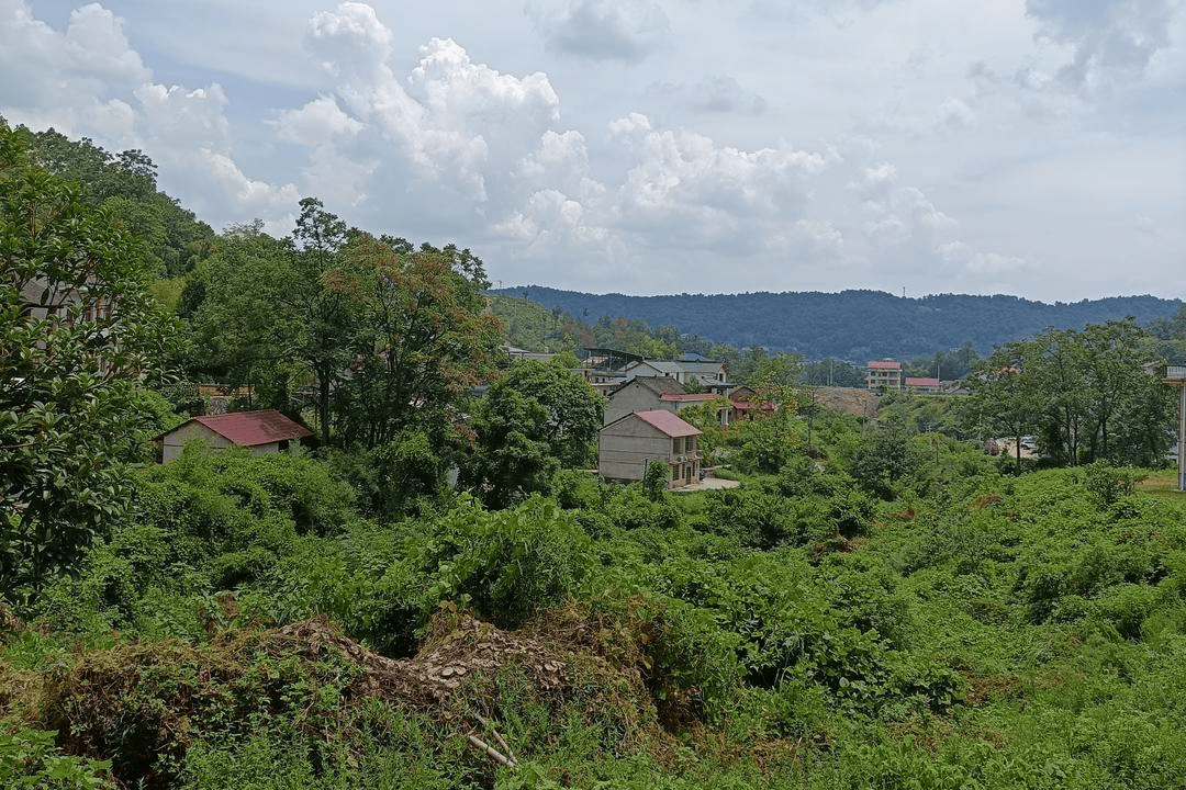 一个正厅一个副处<strong></p>
<p>区块链挖矿交易app</strong>，两名“蔡光辉”落马竟是亲兄弟，父亲称长子曾改名|红星调查