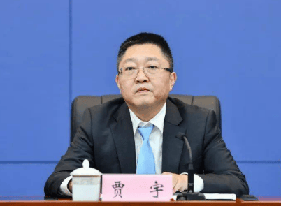 厅官贾宇<strong></p>
<p>IPFS交易app</strong>，官宣落马