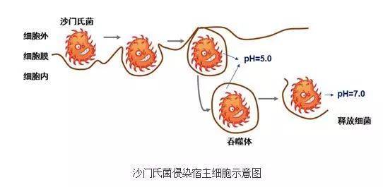 官方通报：一幼儿园发生中毒事件<strong></p>
<p>火币交易平台</strong>，发病130例