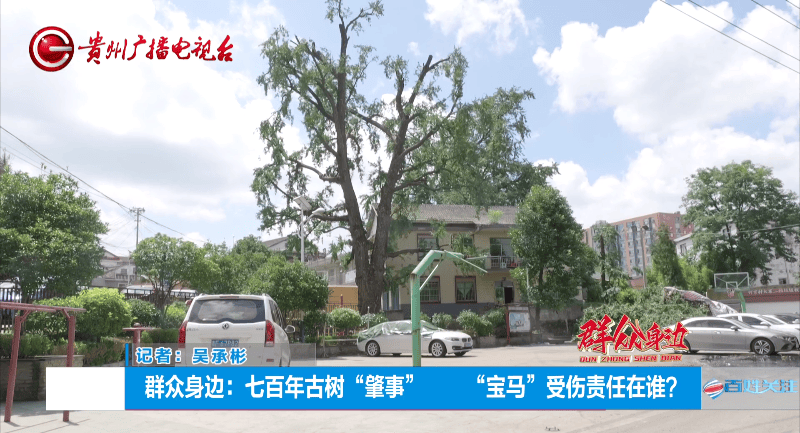 贵阳一700年古树砸扁“宝马”<strong></p>
<p>BITOP交易平台</strong>，现场惨不忍睹，林业局：车主他也有错