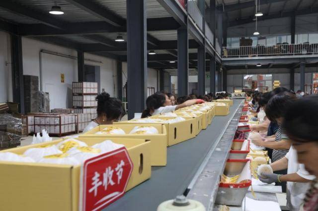 在拼多多单月卖出5000吨莱阳梨<strong></p>
<p>币安币交易平台</strong>，95后新农人为何“收编”果园？