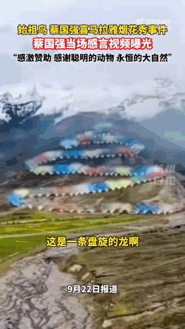 “感谢大家支持我大闹天宫……”蔡国强烟花秀现场感言视频披露<strong></p>
<p>ADA交易平台</strong>，又遭质疑！