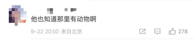 “感谢大家支持我大闹天宫……”蔡国强烟花秀现场感言视频披露<strong></p>
<p>ADA交易平台</strong>，又遭质疑！