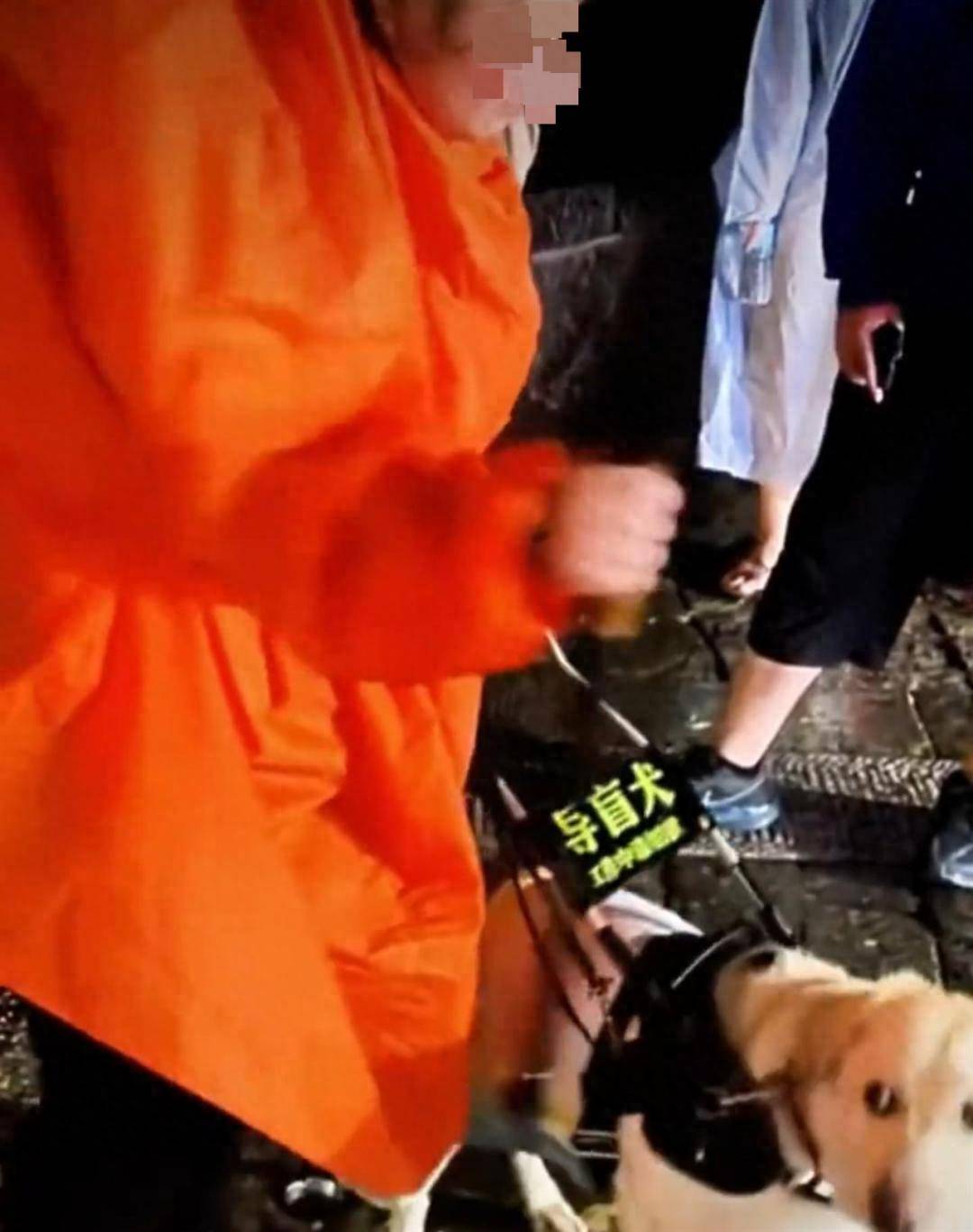 陪盲人夜爬泰山的导盲犬已被接回大连基地<strong></p>
<p>艾达币交易平台</strong>，训练有素的导盲犬全国仅400余只，专业人士不建议危险情况下使用