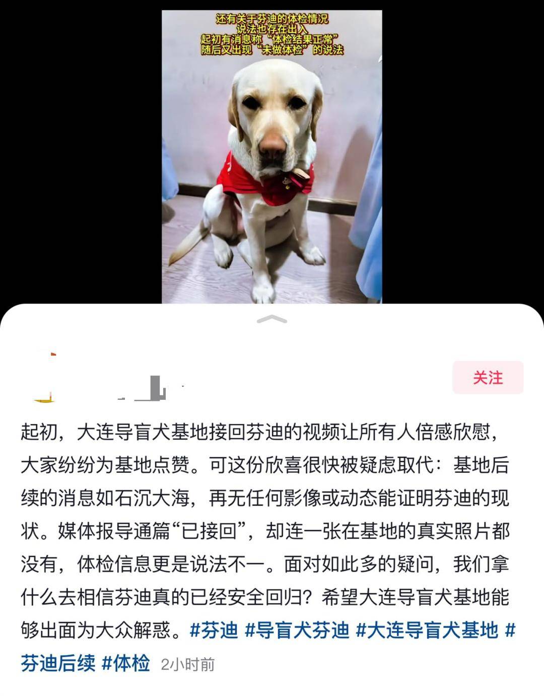 陪盲人夜爬泰山的导盲犬已被接回大连基地<strong></p>
<p>艾达币交易平台</strong>，训练有素的导盲犬全国仅400余只，专业人士不建议危险情况下使用