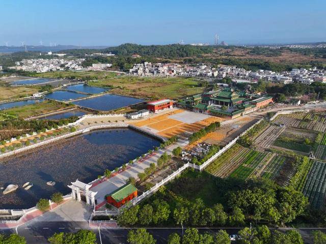 这个经济大省<strong></p>
<p>比特现金交易平台</strong>，为何多地镇街撤并？