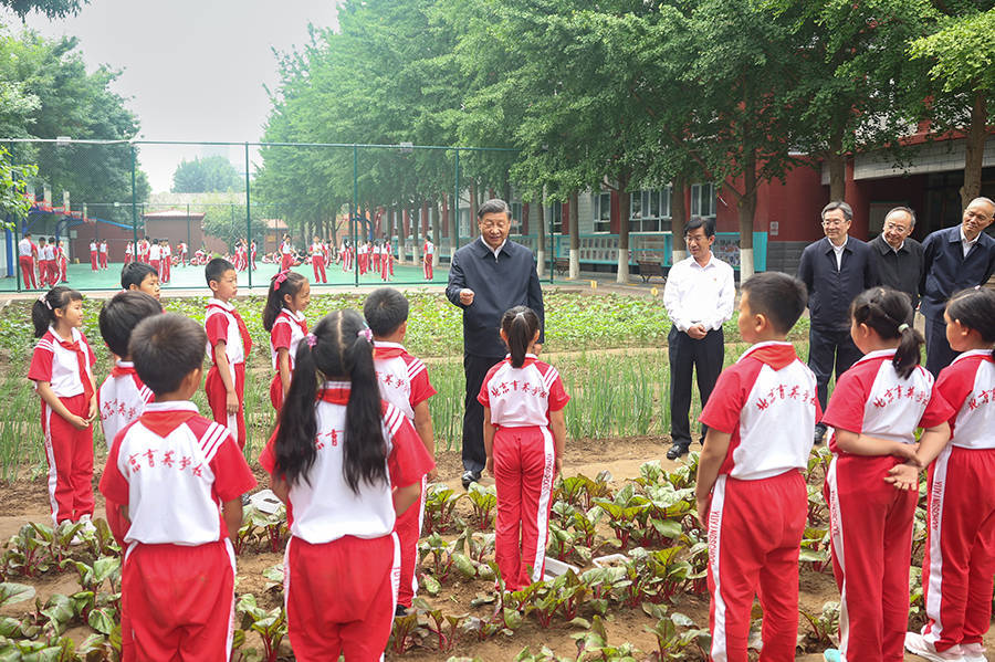 学习进行时丨长成中华民族的参天大树